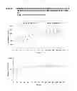 Fig. 19 - ONCE-WEEKLY ORAL ADMINISTRATION OF ARIPIPRAZOLE
