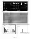 Fig. 06 - Targeted nanoparticle conjugates
