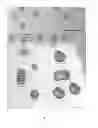 Fig. 08 - Targeted nanoparticle conjugates