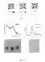 Fig. 09 - Targeted nanoparticle conjugates