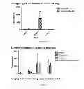 Fig. 05 - Method for producing an implantable bone composition