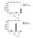 Fig. 08 - Method for producing an implantable bone composition
