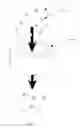 Fig. 02 - Sterilizing and deodorizing agents, their method of manufacture and uses