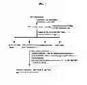 Fig. 02 - Use of amide compounds for preventing marine biofouling