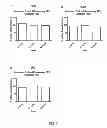 Fig. 08 - Plant Extracts for Improving Cognitive Health and Function