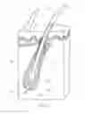 Fig. 02 - Composition and Methods for Permanent Hair Removal
