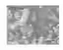 Fig. 01 - WATER SOLUBLE NUTRITIONAL COMPOSITIONS COMPRISING CEREAL BETA-GLUCAN AND RESISTANT STARCH