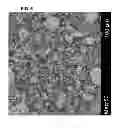 Fig. 07 - Low sodium salt composition