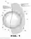 Fig. 02 - Resealable spout for selectively accessing coconut water within a coconut