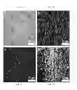 Fig. 08 - METHOD FOR MANUFACTURING A NANO-WIRE ARRAY AND A DEVICE THAT COMPRISES A NANO-WIRE ARRAY