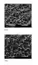Fig. 02 - Dry adhesives
