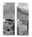 Fig. 02 - Process for the formation of metal oxide nanoparticles coating of a solid substrate