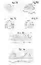 Fig. 07 - Embossing roller, embossing unit, embossing method and embossed product