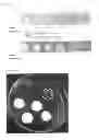 Fig. 02 - High-strength collagen fiber membrane and a manufacturing method thereof