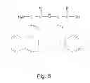 Fig. 09 - Method of forming a fiber made of peptide nanostructures