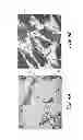 Fig. 05 - HIGH STRENGTH-TO-DENSITY NANOCELLULAR FOAM