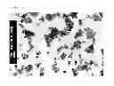 Fig. 02 - Zinc oxide particles, method for production of the same, and cosmetic, heat releasing filler, heat releasing resin composition, heat releasing grease, and heat releasing coating composition comprising the same
