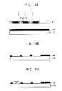 Fig. 07 - Mask and method of manufacturing a substrate using the mask