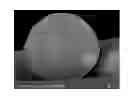 Fig. 01 - Magnetic carrier and two-component developer