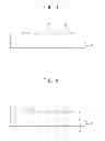 Fig. 04 - Photoresist composition and method of forming a black matrix using the same