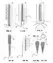 Fig. 07 - Endodontic file