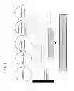 Fig. 02 - Capacity Building System for Developing Visual-Spatial Construction Planning Ability, Capacity Building Method, Capacity Building Program and Recording Medium Thereof