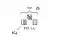 Fig. 02 - METHODS FOR TEACHING READING AND MATH SKILLS TO INDIVIDUALS WITH DYSLEXIA, DYSCALCULIA, AND OTHER NEUROLOGICAL IMPAIRMENTS