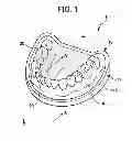 Fig. 02 - Dental model and model teeth