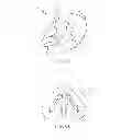 Fig. 08 - Cutaneous surgical training model of the head, neck and shoulders