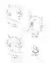 Fig. 18 - Cutaneous surgical training model of the head, neck and shoulders