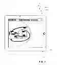 Fig. 05 - COACHS PLAY SYSTEMS
