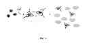 Fig. 04 - Methods for detecting and measuring aggregation