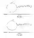 Fig. 28 - Hydroxymethyl linkers for labeling nucleotides