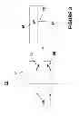 Fig. 04 - Detection of nucleic acids using a cantilever sensor
