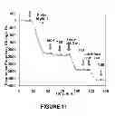 Fig. 12 - Detection of nucleic acids using a cantilever sensor