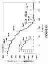 Fig. 13 - Detection of nucleic acids using a cantilever sensor