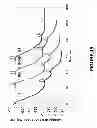Fig. 20 - Detection of nucleic acids using a cantilever sensor