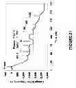 Fig. 22 - Detection of nucleic acids using a cantilever sensor