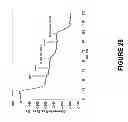 Fig. 29 - Detection of nucleic acids using a cantilever sensor