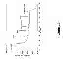 Fig. 31 - Detection of nucleic acids using a cantilever sensor
