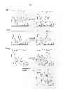 Fig. 03 - Method and kit for detecting 5-hydroxymethylcytosine in nucleic acids