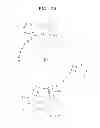 Fig. 04 - Single-stranded nucleic acid aptamers specifically binding to 
