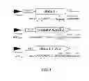 Fig. 02 - HIGH LEVEL PRODUCTION OF RECOMBINANT PROTEINS