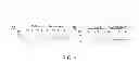 Fig. 10 - HIGH LEVEL PRODUCTION OF RECOMBINANT PROTEINS