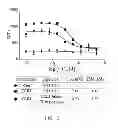 Fig. 22 - HIGH LEVEL PRODUCTION OF RECOMBINANT PROTEINS