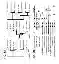 Fig. 02 - Targeting poly-gamma-glutamic acid to treat and related infections