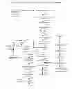 Fig. 28 - Methods for producing 3-hydroxypropionic acid and other products