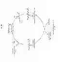 Fig. 40 - Methods for producing 3-hydroxypropionic acid and other products