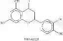 Fig. 08 - Method for biotechnological production of dihydrochalcones