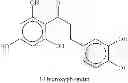 Fig. 23 - Method for biotechnological production of dihydrochalcones